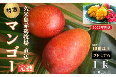 【2025年発送】久米島赤鶏牧場 直送！糖度15度以上「プレミアム」完熟マンゴー 1玉（450g以上） マンゴー 完熟 アップルマンゴー アーウィン 糖度15度 特選品 プレミアム 贈答 贈り物 甘い 濃厚 循環型農業 減農薬栽培 芳醇 爽やか 南国フルーツ ギフト 沖縄 久米島 南の島