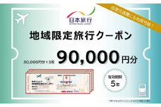 沖縄県久米島町　日本旅行　地域限定旅行クーポン9万円分 沖縄旅行 離島 観光 ホテル ビーチ グルメ ダイビング シュノーケリング 家族旅行 子連れ カップル 一人旅 パワースポット マリンスポーツ 泡盛 釣り サイクリング 自然体験 アクティビティ 久米島紬