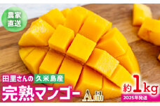 【2025年発送】農家直送！田里さんの久米島産完熟マンゴー A品 約1kg マンゴー フルーツ 果物 デザート 完熟 A品 甘い ジューシー スムージー アイス プリン ヨーグルト ケーキ 贈り物 贈答 ギフト お中元 南国 沖縄 久米島