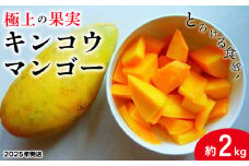 【2025年発送】とろける食感！『極上の果実』キンコウマンゴー 約2kg 金煌 高級 高糖度 ほどよい酸味 なめらか 甘い香り 幻のマンゴー 大玉 濃厚 果肉 ジューシー とろける フルーツ 果実 果物 贈答 贈り物 ギフト 沖縄 久米島