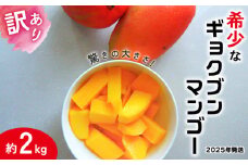 訳あり【2025年発送】驚きの大きさ！希少なギョクブンマンゴー 約2kg 玉文 高級 幻のマンゴー 入手困難 稀少 高糖度 濃厚 酸味 甘い ジューシー フルーツ 果実 果肉 贅沢 とろける ギフト 贈答 贈り物 沖縄 久米島