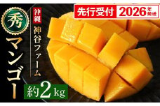 【化粧箱入】【先行受付・2026年発送】神谷ファームのマンゴー（秀）約2kg - 先行予約 沖縄県産 産地直送 南国フルーツ 旬の味覚 季節の果物 贈り物 ギフト 沖縄県 八重瀬町