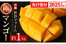 【化粧箱入】【先行受付・2025年発送】神谷ファームのマンゴー（極）約1Kg - 先行予約 沖縄県産 産地直送 南国フルーツ 旬の味覚 季節の果物 贈り物 ギフト 沖縄県 八重瀬町