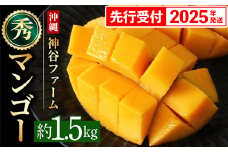 【化粧箱入】【先行受付・2025年発送】神谷ファームのマンゴー（秀）約1.5Kg - 先行予約 沖縄県産 産地直送 南国フルーツ 旬の味覚 季節の果物 贈り物 ギフト 沖縄県 八重瀬町