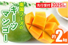 【先行受付】【2025年発送】南国フーズのキーツマンゴー 約2kg - 先行予約 沖縄 産地直送 南国フルーツ 旬の味覚 沖縄県産 国産マンゴー 希少種 オススメ 沖縄県 八重瀬町