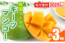 【先行受付】【2025年発送】南国フーズのキーツマンゴー 約3kg - 先行予約 沖縄 産地直送 南国フルーツ 旬の味覚 沖縄県産 国産マンゴー 希少種 オススメ 沖縄県 八重瀬町