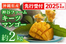 【先行受付】【2025年発送】神谷ファームのキーツマンゴー 約2kg - 先行予約 沖縄県産 産地直送 南国フルーツ 旬の味覚 季節の果物 希少種 贈り物 ギフト 沖縄県 八重瀬町