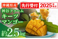 【先行受付】【2025年発送】神谷ファームのキーツマンゴー 約2.5kg - 先行予約 沖縄県産 産地直送 南国フルーツ 旬の味覚 季節の果物 希少種 贈り物 ギフト 沖縄県 八重瀬町