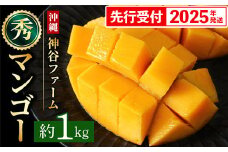 【化粧箱入】【先行受付・2025年発送】神谷ファームのマンゴー（秀）約1Kg - 先行予約 沖縄県産 産地直送 南国フルーツ 旬の味覚 季節の果物 贈り物 ギフト 沖縄県 八重瀬町