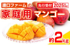 【先行受付】【2025年発送】渡口ファームの家庭用マンゴー約2kg - 先行予約 沖縄県産 産地直送 南国フルーツ 旬の味覚 季節の果物 ご自宅用 沖縄マンゴー 沖縄県 八重瀬町