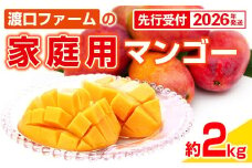 【先行受付】【2026年発送】渡口ファームの家庭用マンゴー約2kg - 先行予約 沖縄県産 産地直送 南国フルーツ 旬の味覚 季節の果物 ご自宅用 沖縄マンゴー 沖縄県 八重瀬町