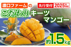 【先行受付】【2025年発送】渡口ファームのこだわりキーツマンゴー約1.5kg - 先行予約 沖縄県産 産地直送 南国フルーツ 旬の味覚 季節の果物 希少種 贈り物 ギフト 沖縄県 八重瀬町