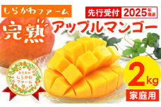 【先行受付】【2025年発送】しらかわファームの家庭用アップルマンゴー約2kg【X】