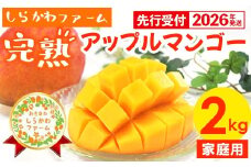 【先行受付】【2026年発送】しらかわファームの家庭用アップルマンゴー約2kg - 先行予約 沖縄県産 産地直送 南国フルーツ 旬の味覚 季節の果物 ご自宅用 家庭用 沖縄県 八重瀬町