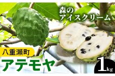 【先行受付】森のアイスクリーム アテモヤ 1kg (沖縄県八重瀬町産)