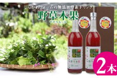 ＜しらかわファーム＞無添加酵素ドリンク「野草木果(やそうもっか)2本」- 無添加 酵素ドリンク こだわり 果物 野菜 ハーブ 88種 沖縄県産 2本 セット 飲みやすい おすすめ 沖縄県 八重瀬町