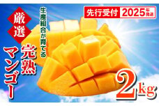 【先行受付】【2025年発送】生産組合が育てる厳選・完熟マンゴー約2kg - 先行予約 沖縄県産 産地直送 南国フルーツ アップルマンゴー 旬の味覚 季節の果物 贈り物 沖縄県 八重瀬町