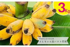 希少栽培種のばなな！ぐしちゃん銀バナナ約3Kg - バナナ 銀バナナ ナムワヌアン 果物 フルーツ 希少 国産 おすすめ 沖縄県 八重瀬町
