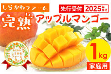【先行受付】【2025年発送】しらかわファームの家庭用アップルマンゴー約1kg【価格改定】