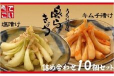島らっきょう塩漬け・キムチ漬け　詰め合わせ10個セット - らっきょう漬け 国産 沖縄県産 らっきょ 島らっきょ 疲労回復 滋養強壮 人気 漬物 沖縄県 八重瀬町