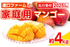 【先行受付】【2025年発送】渡口ファームの家庭用マンゴー約4kg - 先行予約 沖縄 産地直送 南国フルーツ 旬の味覚 家庭用 4キロ オススメ 沖縄県 八重瀬町