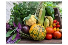 ★沖縄県八重瀬町産★旬なカラフル野菜つめ合わせセット - 野菜 野菜詰め合わせ 国産 沖縄県産 新鮮 色鮮やか 映え 島らっきょう シークヮーサー 青パパイヤ 南国 沖縄県 八重瀬町
