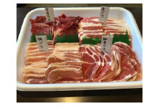 バーベキューセット１ｋｇ - バーベキュー BBQ bbq セット 肉 牛肉 豚肉 1kg 牛豚 オリジナルソース たれ タレ付 塩だれ ガーリックソース おすすめ アウトドア 小分け 冷凍 便利 人気 沖縄県 八重瀬町