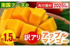 【先行受付】【2025年発送】南国フーズのアップルマンゴー 訳アリ約1.5kg
