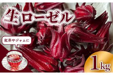 【先行受付】生ローゼル 約１キロ - 2025年11月以降順次発送 ハイビスカスローゼル 1kg フレッシュ ハーブ ビタミン ミネラル クエン酸 アントシアニン ポリフェノール 国産ハーブ 沖縄県産 沖縄県 八重瀬町