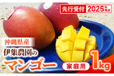 【先行受付】【2025年発送】伊集農園  沖縄県産マンゴー ご家庭用 約1kg - 先行予約 沖縄 産地直送 南国フルーツ 旬の味覚 家庭用 1キロ オススメ 沖縄県 八重瀬町