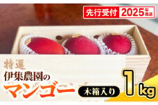 【木箱入】【先行受付・2025年発送】伊集農園  沖縄県産マンゴー（贈答用木箱）約1kg - 先行予約 沖縄 産地直送 南国フルーツ 旬の味覚 旬のフルーツ 贈り物 ギフト 沖縄県 八重瀬町