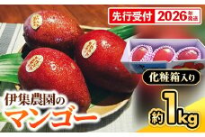 【化粧箱入】【先行受付・2026年発送】伊集農園  沖縄県産マンゴー（贈答用）約1kg - 先行予約 沖縄 産地直送 南国フルーツ 旬の味覚 旬のフルーツ 沖縄県 八重瀬町