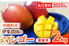 【先行受付】【2025年発送】伊集農園  沖縄県産マンゴー ご家庭用 約2kg - 先行予約 沖縄 産地直送 南国フルーツ 旬の味覚 家庭用 2キロ オススメ 沖縄県 八重瀬町