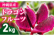 【2025年発送】熱帯果樹生産組合の完熟ドラゴンフルーツ 【レッドドラゴンフルーツ】　約2kg（3～7玉）- 赤 果肉 レッド ピタヤ スーパーフルーツ 人気 抗酸化作用 ベタシアニン おすすめ 国産 沖縄県 八重瀬町