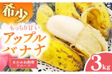 【希少栽培種】あかみね熱帯フルーツのアップルバナナ約3kg - 国産 希少種 フレッシュ 小ぶり 食べやすい おすすめ 沖縄県 八重瀬町