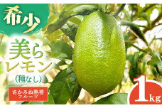 【種なし】あかみね熱帯フルーツの美らレモン 約1kg - 国産 希少種 果汁 たっぷり 使いやすい 檸檬 れもん Lemon おすすめ 沖縄県 八重瀬町