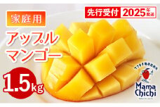 【先行受付】【2025年発送】ママチチマンゴーファームの家庭用アップルマンゴー約1.5kg - 先行予約 沖縄県産 産地直送 南国フルーツ 旬の味覚 季節の果物 ご自宅用 沖縄マンゴー 沖縄県 八重瀬町