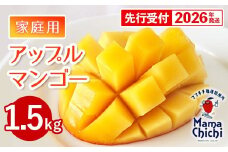 【先行受付】【2026年発送】ママチチマンゴーファームの家庭用アップルマンゴー約1.5kg - 先行予約 沖縄県産 産地直送 南国フルーツ 旬の味覚 季節の果物 ご自宅用 沖縄マンゴー 沖縄県 八重瀬町