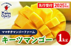 【先行受付】【2025年発送】ママチチマンゴーファームのキーツマンゴー約1kg - 先行予約 沖縄 産地直送 南国フルーツ 旬の味覚 沖縄県産 国産マンゴー 希少種 季節の果物 沖縄県 八重瀬町
