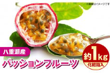 【化粧箱入】【先行受付・2025年発送】わらやーファーム パッションフルーツ 約1kg - 贈答用 プレゼント 贈り物 ギフト 南国フルーツ 国産 先行予約 おすすめ 沖縄県 八重瀬町