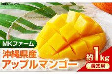 【2025年発送】MKファームの贈答用アップルマンゴー約1kg【贈答用】- 贈答用 ギフト 沖縄県産 産地直送 南国フルーツ 旬の味覚 アップルマンゴー オススメ 沖縄県 八重瀬町