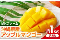 【2025年発送】MKファームの訳ありアップルマンゴー約1kg【訳あり】- 訳アリ 沖縄県産 産地直送 南国フルーツ 旬の味覚 アップルマンゴー オススメ 沖縄県 八重瀬町