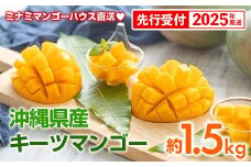 【先行予約】【2025年発送】ミナミマンゴーハウスのキーツマンゴー約1.5kg - 産地直送 沖縄産 国産 果物 フルーツ 南国フルーツ トロピカルフルーツ 旬の味覚 人気 おすすめ 送料無料 沖縄県 八重瀬町