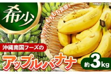 国産 希少種！南国フーズのアップルバナナ 約3kg - バナナ ばなな 小ぶり 沖縄県 産地直送 果物 フルーツ 南国 朝食 おすすめ 沖縄県 八重瀬町