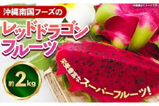 【2025年発送】南国フーズのドラゴンフルーツ 【レッドドラゴンフルーツ】 約2kg - 赤 果肉 レッド ピタヤ スーパーフルーツ 人気 抗酸化作用 ベタシアニン おすすめ 国産 沖縄県 八重瀬町