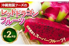 【2025年発送】南国フーズのドラゴンフルーツ 【レッドドラゴンフルーツ】 約2kg - 赤 果肉 レッド ピタヤ スーパーフルーツ 人気 抗酸化作用 ベタシアニン おすすめ 国産 沖縄県 八重瀬町