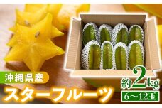 沖縄県産 スターフルーツ約2kg(6～12玉) - 果物 フルーツ 南国 スターフルーツ 五歛子 厳選 沖縄県 八重瀬町