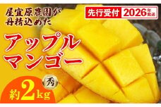 【先行受付】【2026年発送】屋宜原農園が丹精込めた「アップルマンゴー」秀約2kg - 先行予約 沖縄県産 産地直送 南国フルーツ 旬の味覚 旬のフルーツ 贈り物 ギフト 沖縄県 八重瀬町