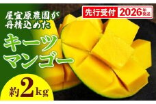 【先行受付】【2026年発送】屋宜原農園が丹精込めた「キーツマンゴー」約2kg - 先行予約 沖縄 産地直送 南国フルーツ 旬の味覚 沖縄県産 国産マンゴー 希少種 オススメ 沖縄県 八重瀬町