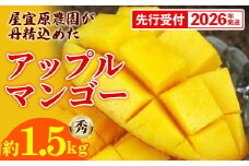 【先行受付】【2026年発送】屋宜原農園が丹精込めた「アップルマンゴー」秀約1.5kg - 先行予約 沖縄県産 産地直送 南国フルーツ 旬の味覚 季節の果物 贈り物 ギフト 沖縄県 八重瀬町